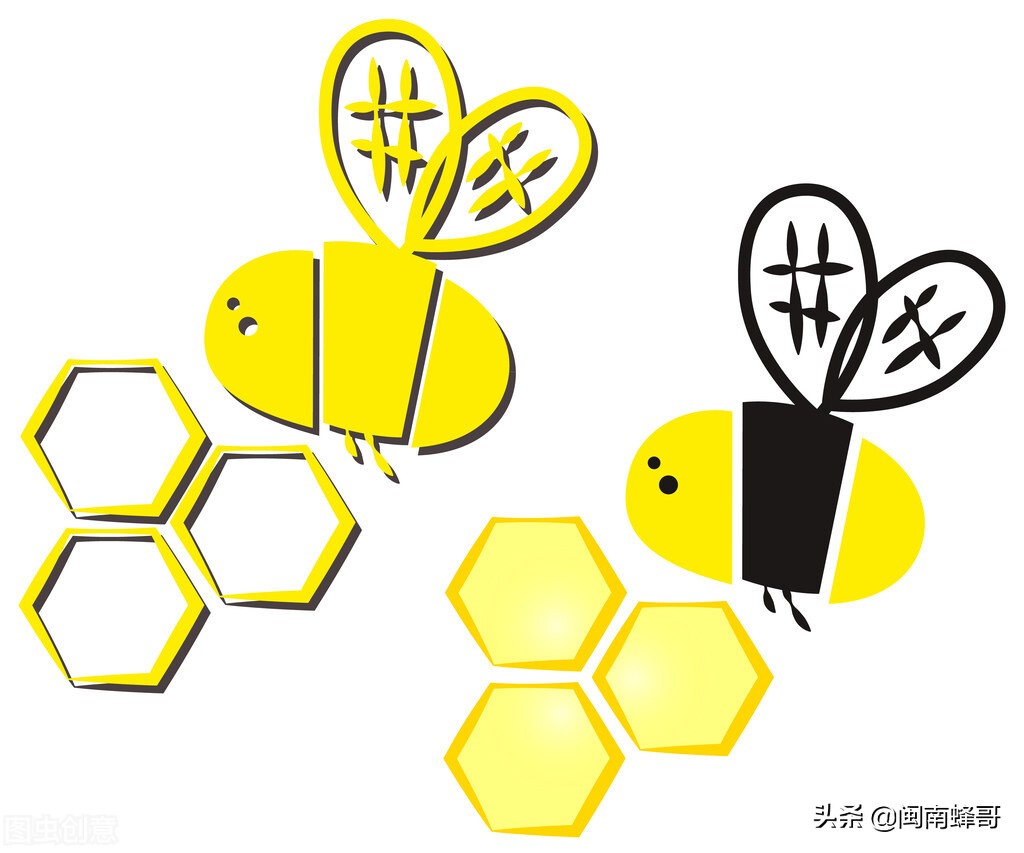 蜜蜂养殖技术防逃技术,蜜蜂养殖之蜜蜂发育周期