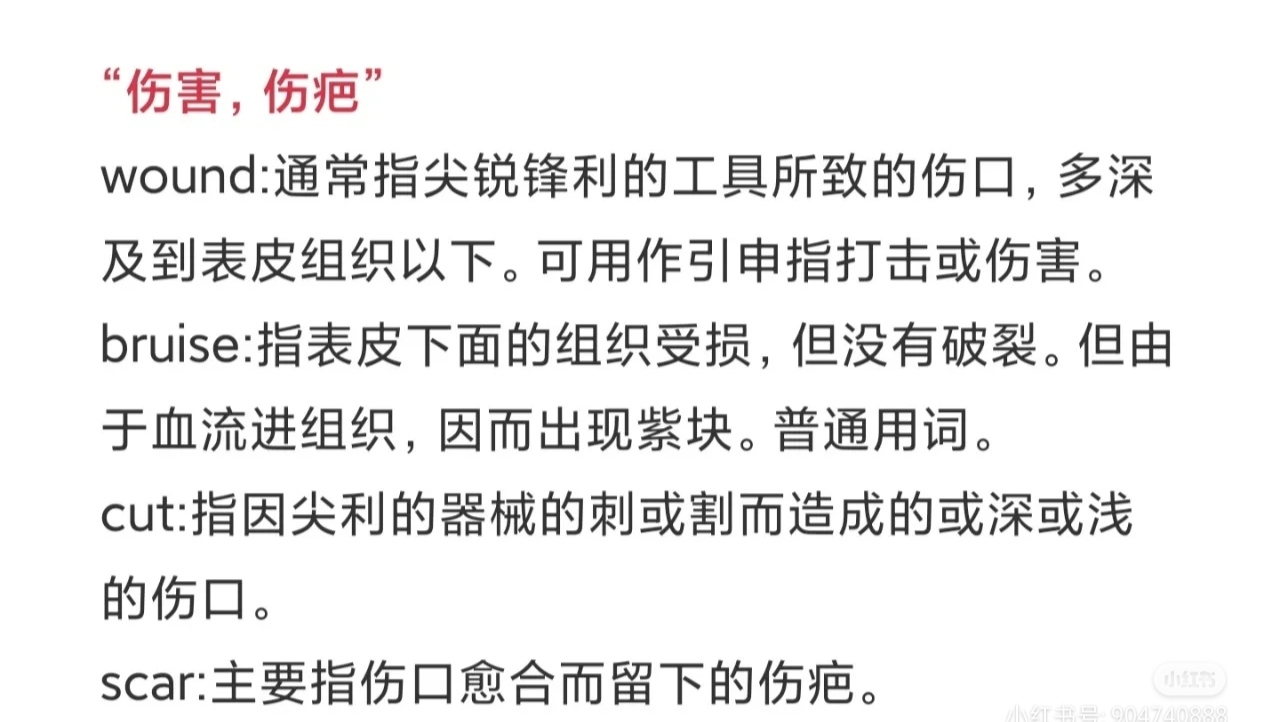 中学英语近义词辨析7,同义词和短语辨析笔记整理