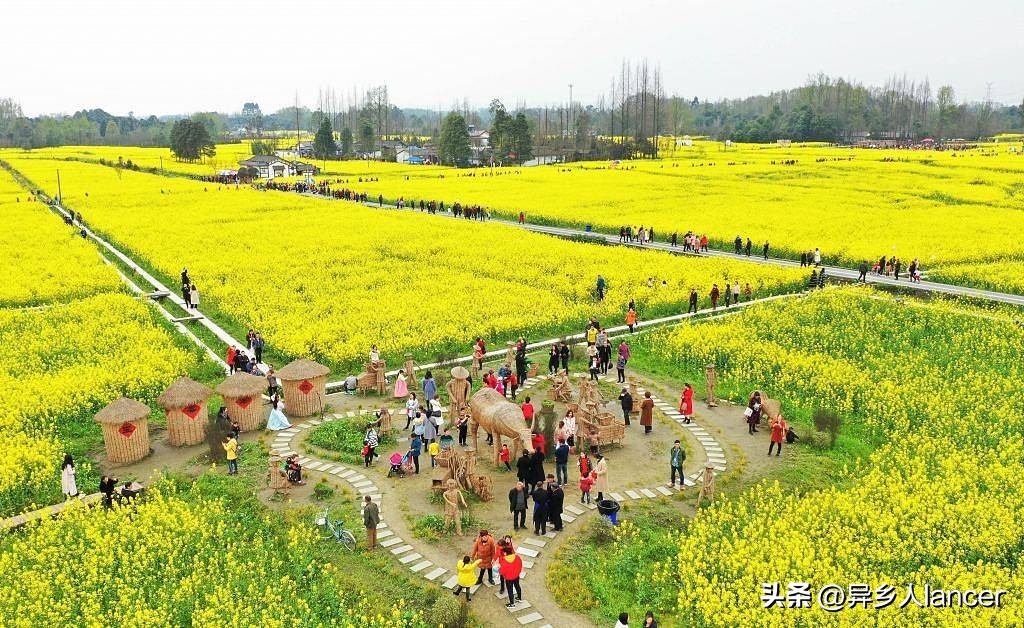 家庭农场：是否能成为乡村致富的新风口？