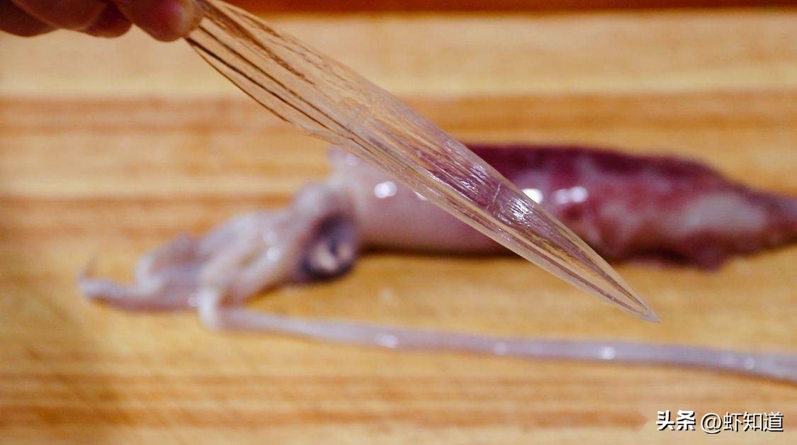 墨鱼乌贼章鱼鱿鱼到底有什么区别,八爪鱼章鱼鱿鱼墨鱼乌贼的区别