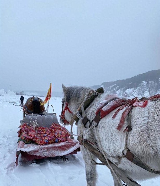 本田适合摩旅的摩托车,适合摩旅的十大摩托车价格
