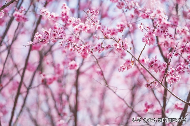 胎教唐诗三百首之第七首静夜思,胎教故事唐诗三百首爸妈讲