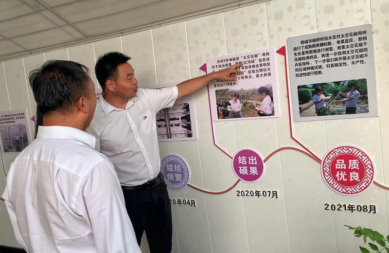 韩城太空无刺花椒苗,陕西韩城太空花椒有限公司