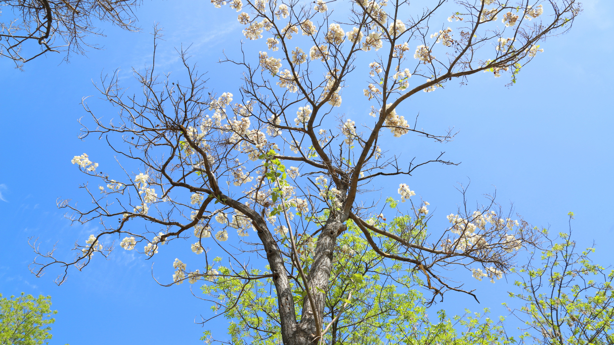 青龙湖公园网红打卡,丰台王佐青龙湖公园门票
