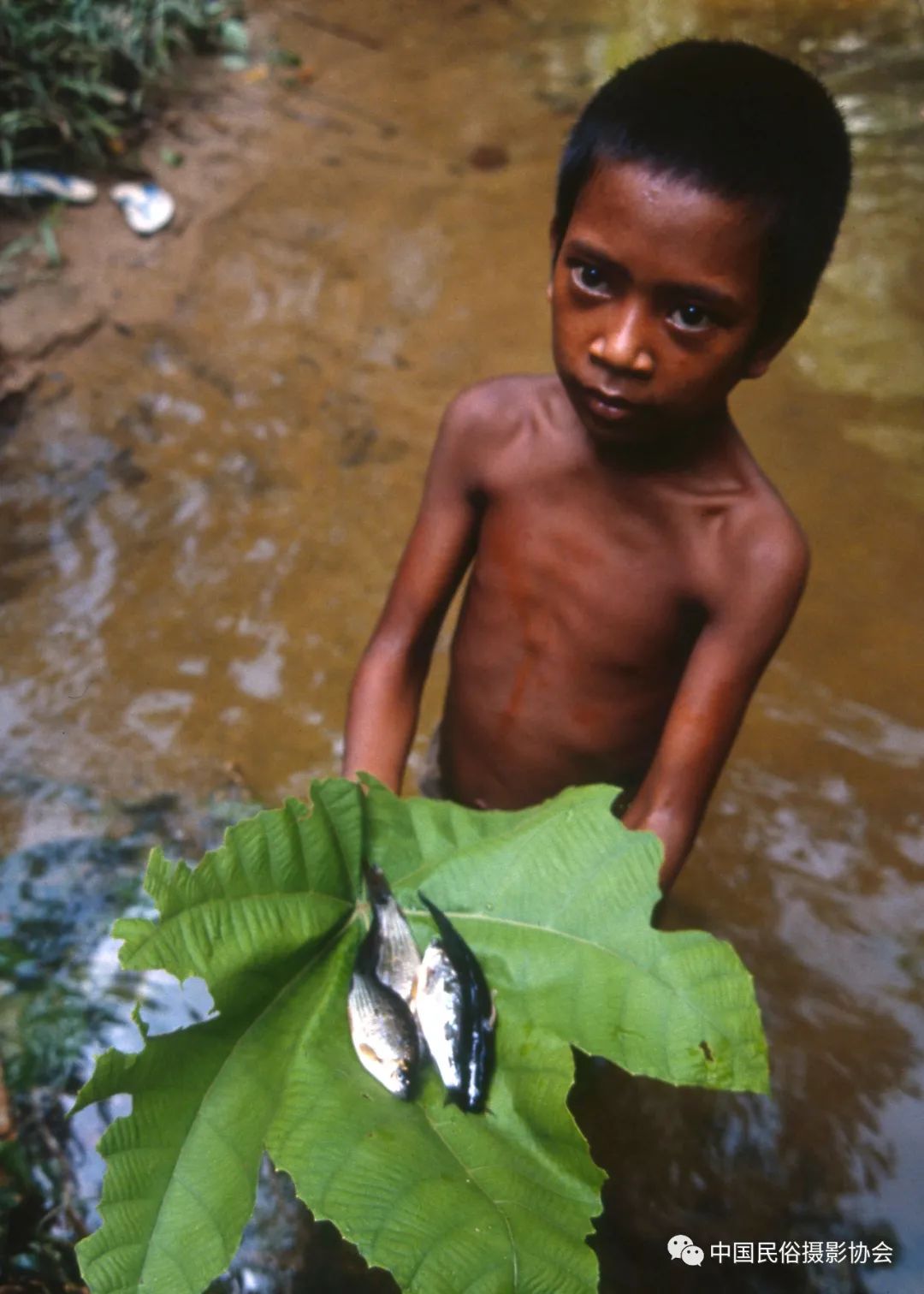中国邻居｜“人类贡献奖”年赛中的印度尼西亚民俗故事（上）