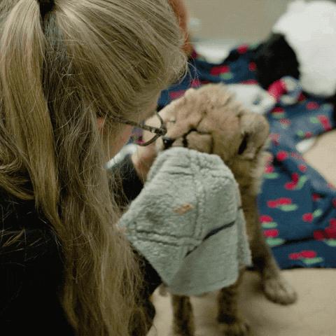 脸上到处是痘痘痘印痘坑怎么办,痘痘破了怎么处理不会留痘印痘坑