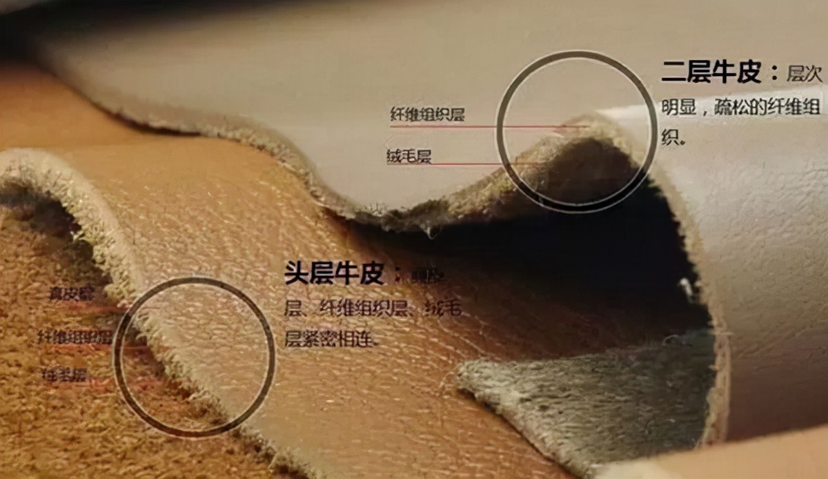 苯胺皮属于真皮里什么档次,苯胺皮和其他皮革的区别