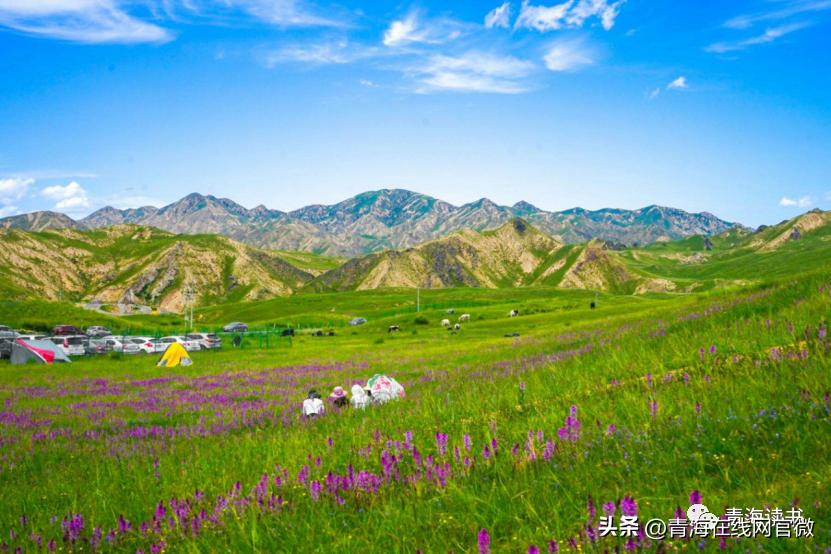 闈掓捣涔嬫梾璁板繂,璁板繂鏃呰闈掓捣