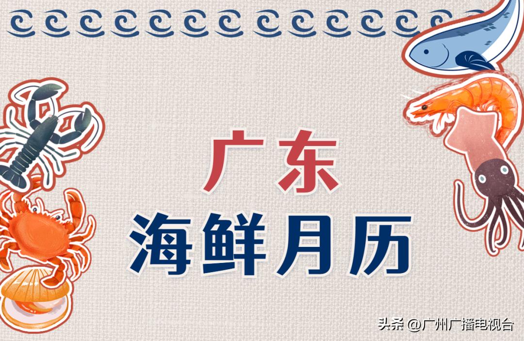 休渔期到了吗,开渔期的广东海鲜市场