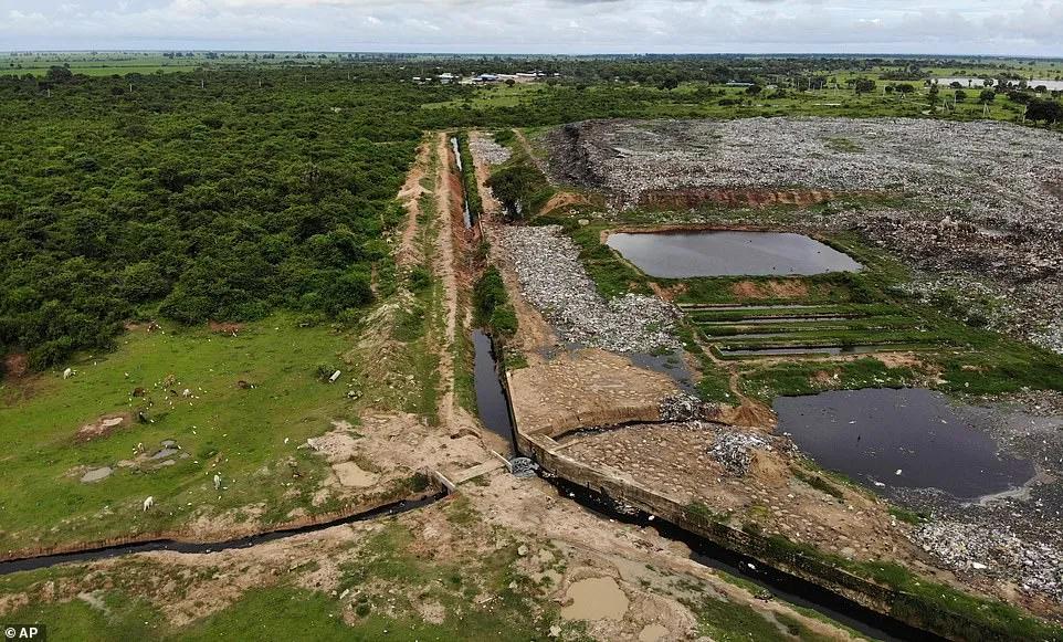 100多头大象死亡,200头大象死亡