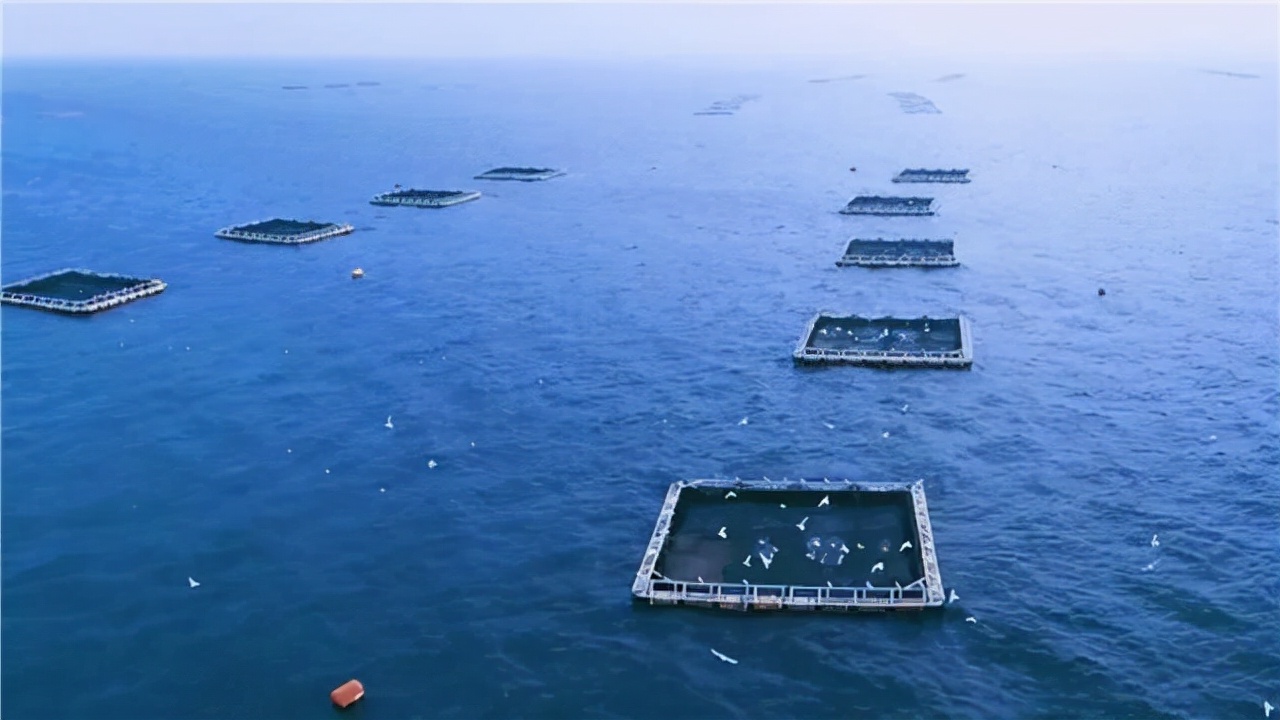 警惕日本进口的食品,警惕进口水产品