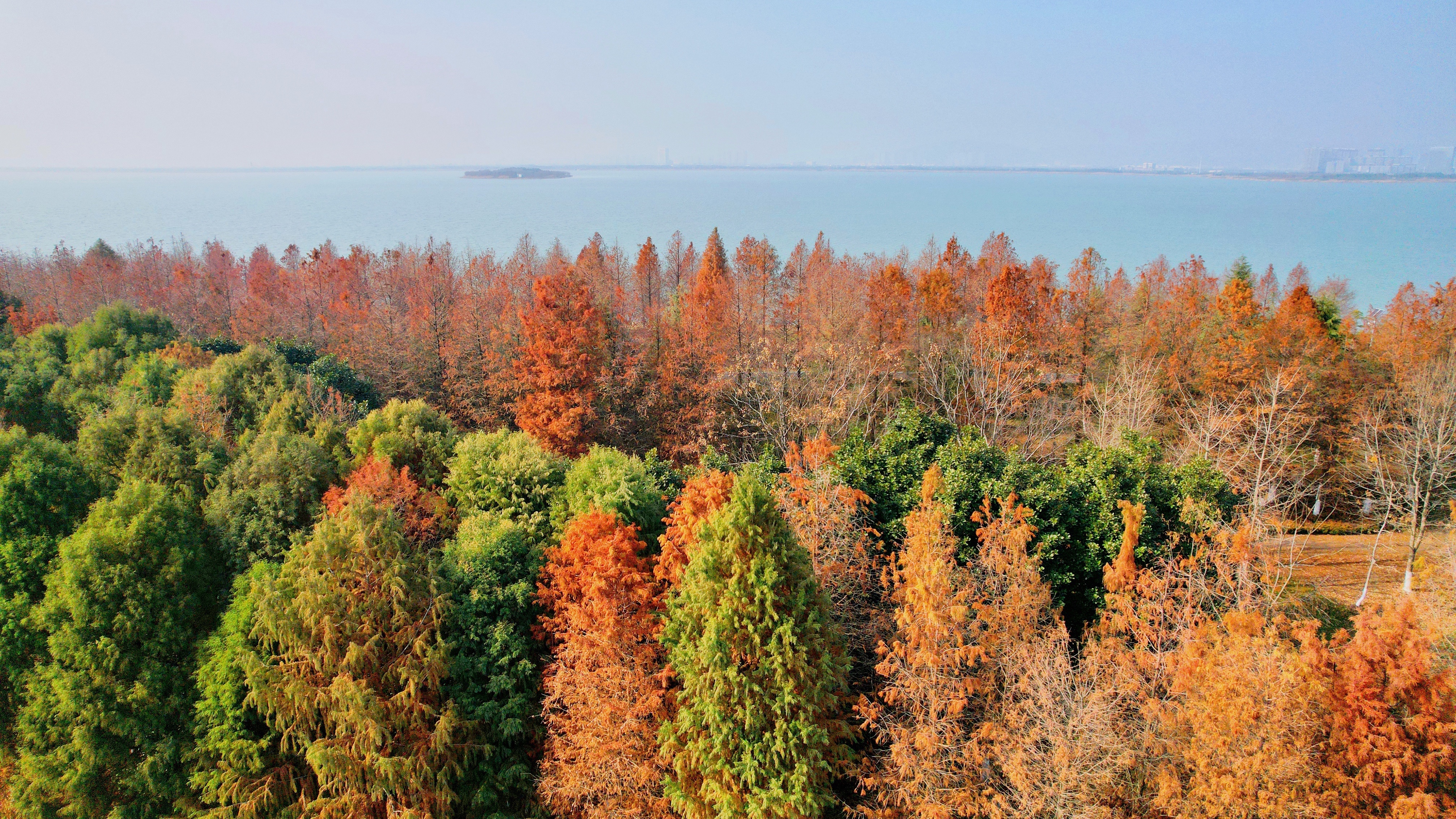 苏州东太湖游玩攻略,新年苏州旅游攻略三天两夜