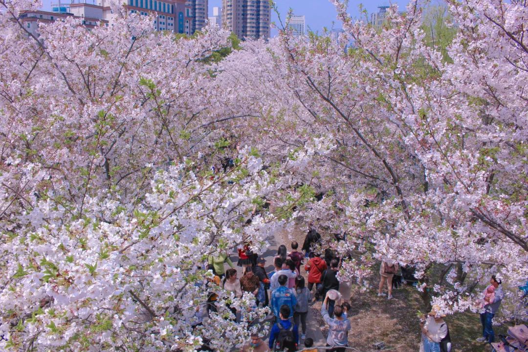 宁波出发路线推荐,宁波最全攻略