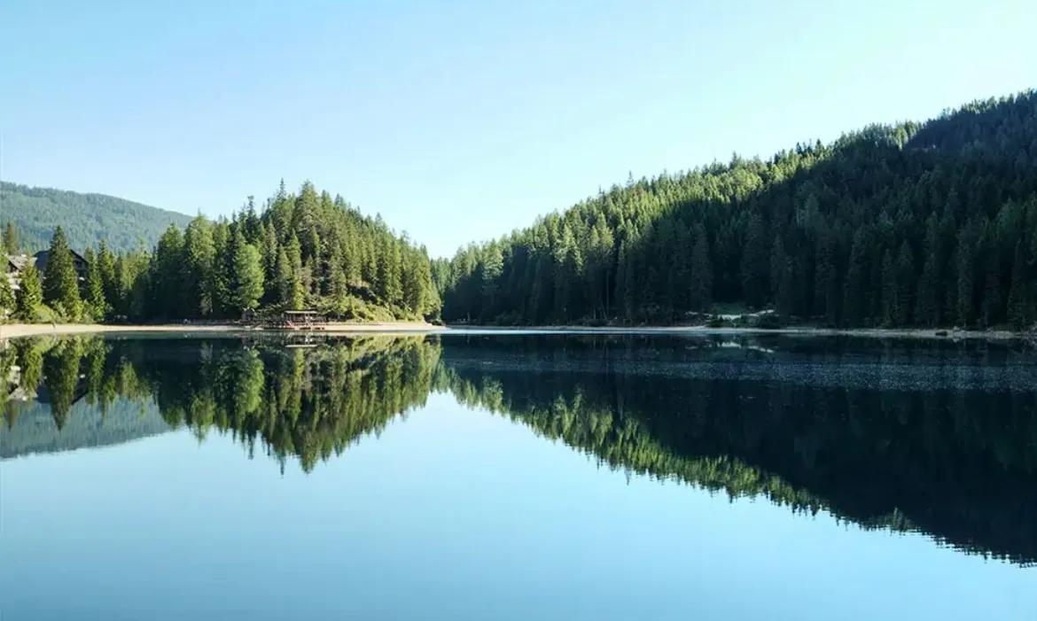 心理学有趣的小法则,三个心理学小技巧交给你