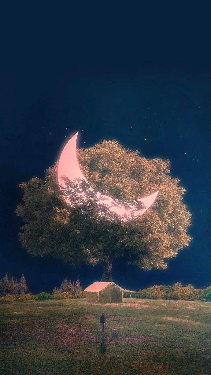 月亮与花唯美意境图高清壁纸,唯美月亮情侣手机壁纸