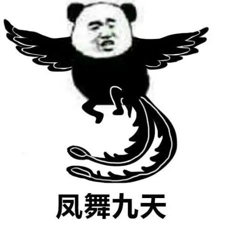 为什么别人秒懂污段子？最后一个能看懂的都是王者