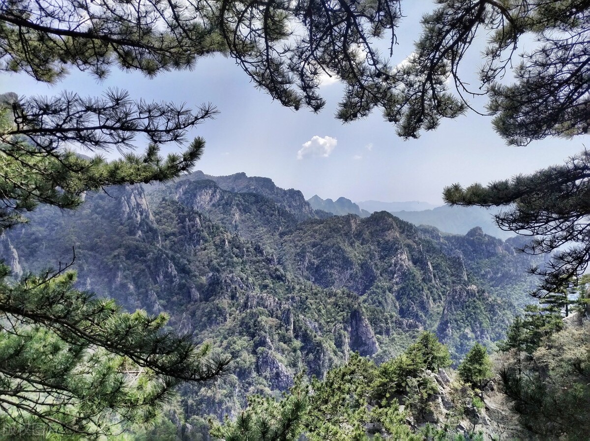 郭进拴,郭进拴令人惊心动魄的生死守护