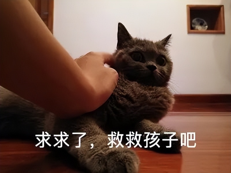 男友前任一直纠缠骚扰违法吗,情侣分手之后骚扰前任犯法吗