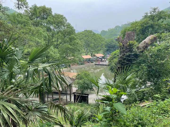 长沙农家乐团建,长沙农家乐团建活动方案