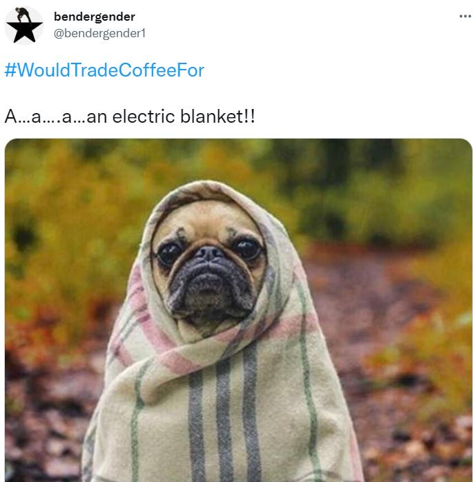 欧洲人买爆中国电热毯！工厂连夜加班，网友爆笑：狠赚一笔哈哈哈