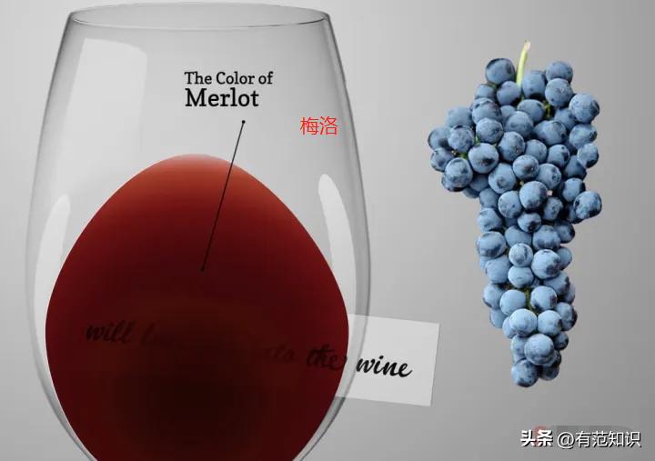 酿造葡萄酒的基本步骤,如何酿造香气扑鼻葡萄酒