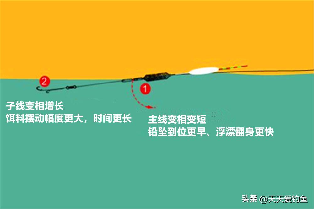 飞铅钓法适合什么鱼情,夏季飞铅钓法能钓到鲤鱼吗