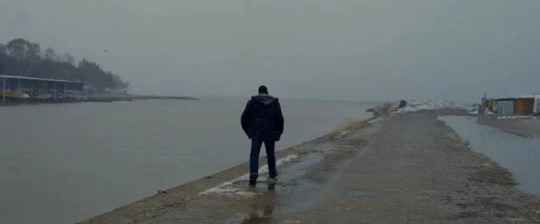 野梨树完整版免费观看,关于野梨树的电影