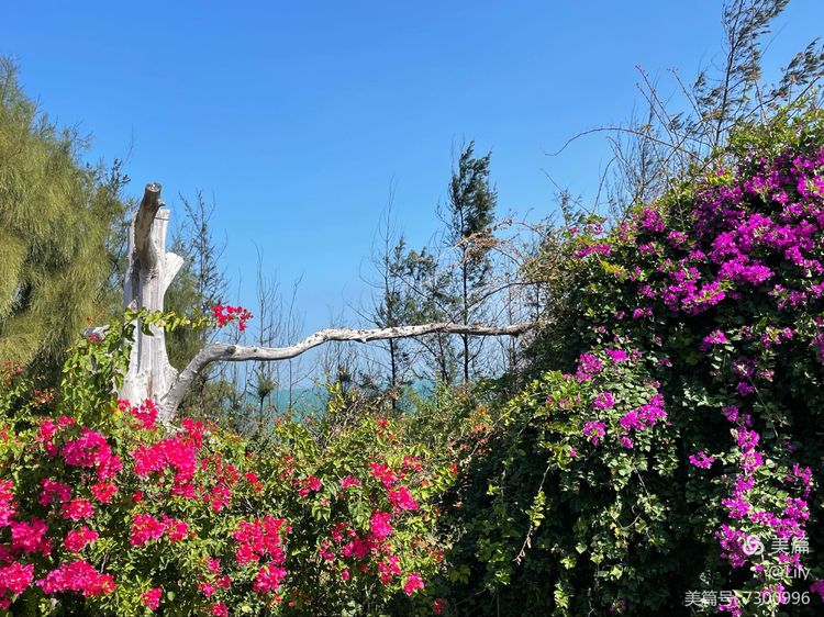 去临高县溜达,去海南溜达一圈