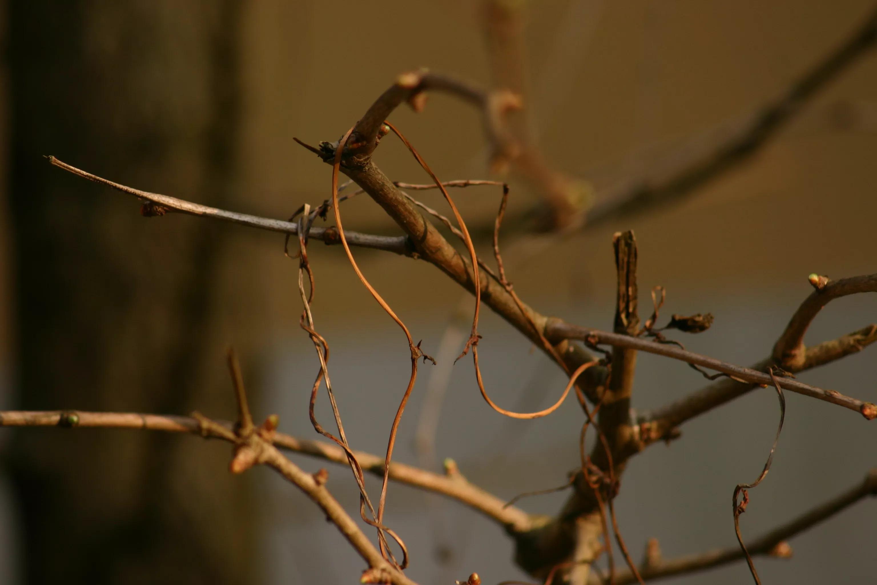 佳能入门机器能拍出好照片,佳能300d入门级