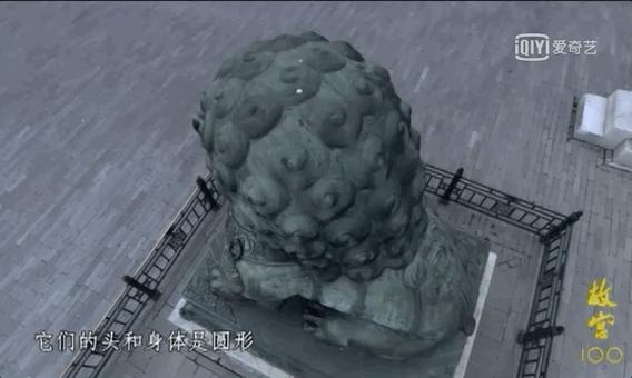 带你真切看人间的宝藏纪录片top10,十一长假适合带孩子看的纪录片