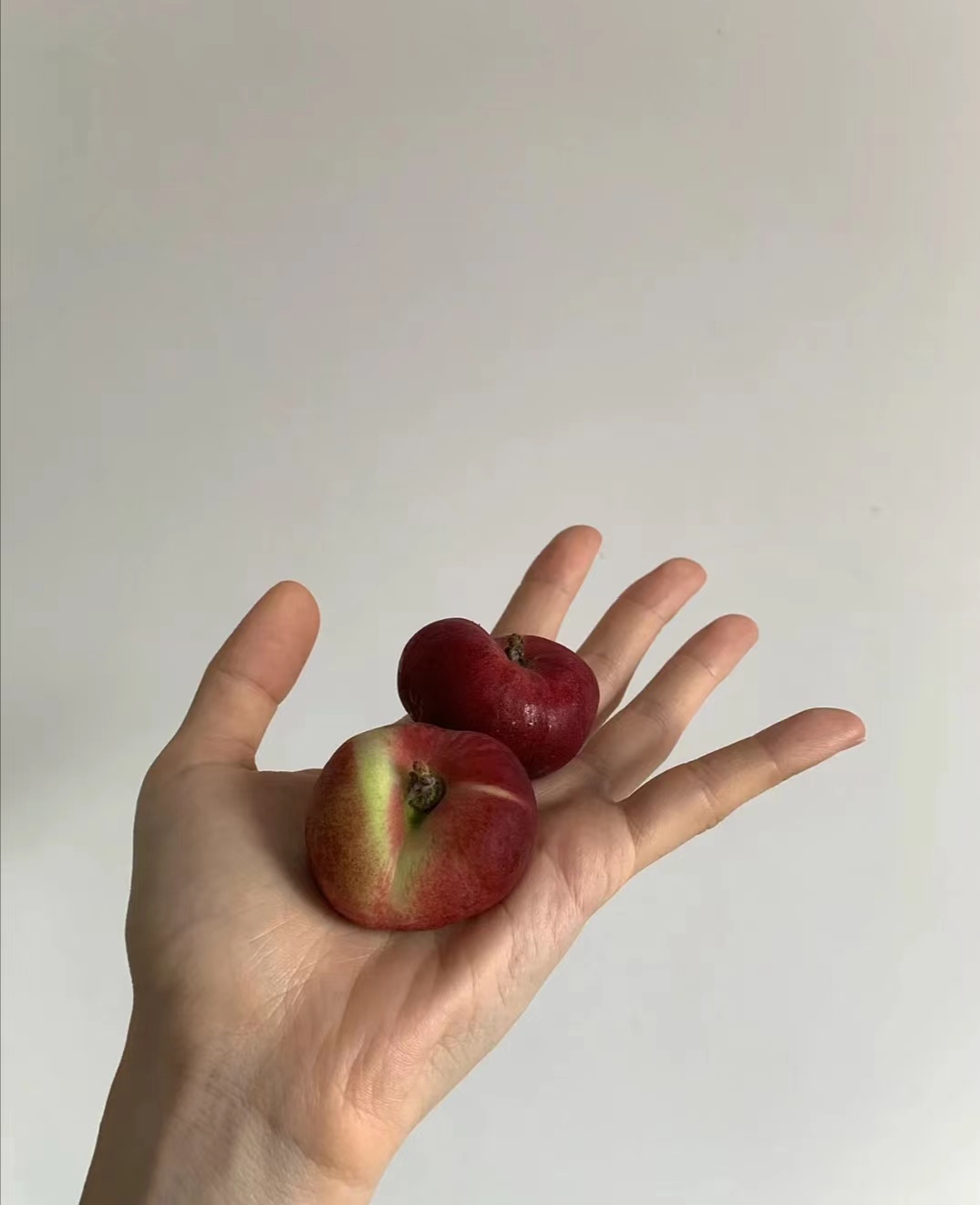 这款桃子的香气，水蜜桃都被比下去