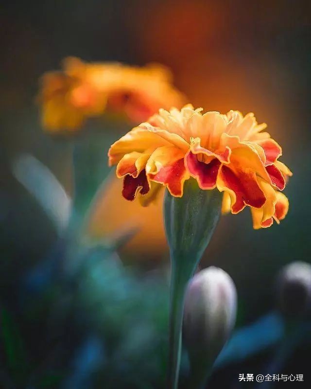 风雨迷茫的早安语,心情不好迷茫的早安文案