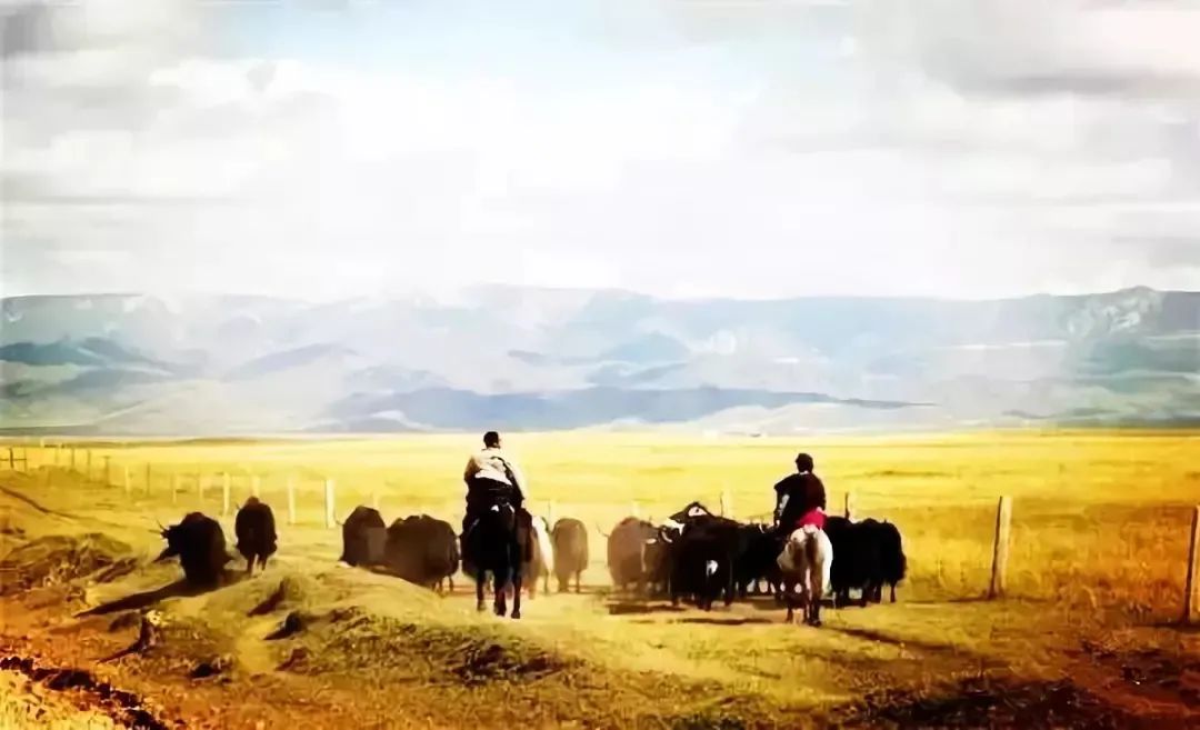 四明山赏秋最佳自驾路线,10条最美旅游线路