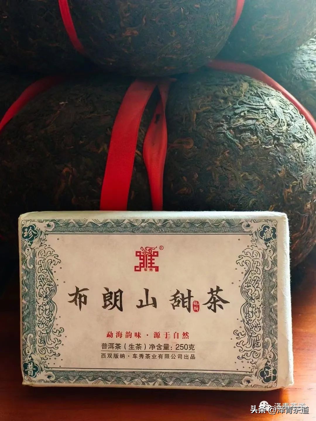 中国十大名茶都有哪些茶 (中国十大名茶是哪十大)