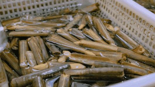 厦门开禾路海鲜推荐,厦门海鲜在哪个港口买便宜