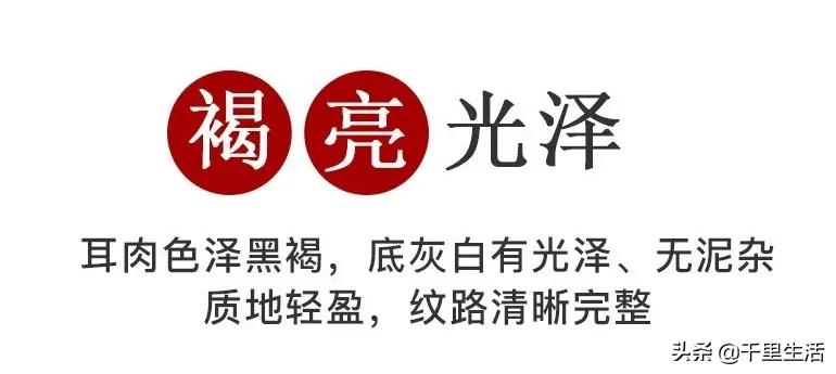 “素中之荤、素珍之王”，东北黑木耳，隔三差五吃一顿，脆嫩好吃