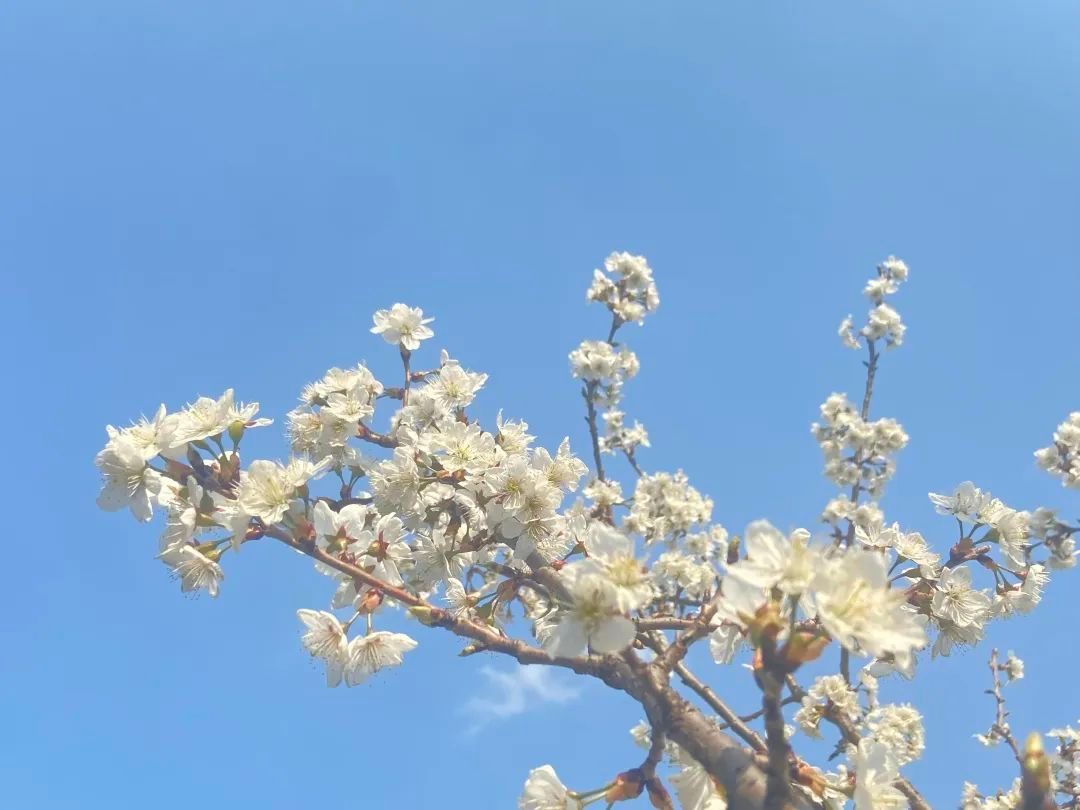 电子厂工作环境一流,电子厂的工作环境都是什么样的