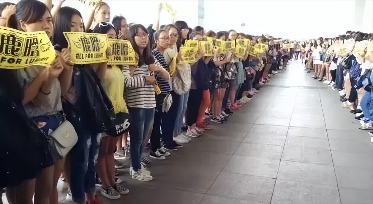 鹿晗的粉丝,鹿晗和关晓彤的粉丝名