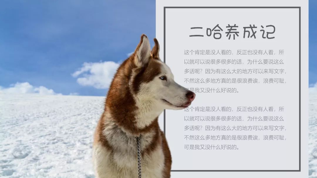 ppt怎么对图片进行裁剪,ppt中如何裁剪图片里的文字