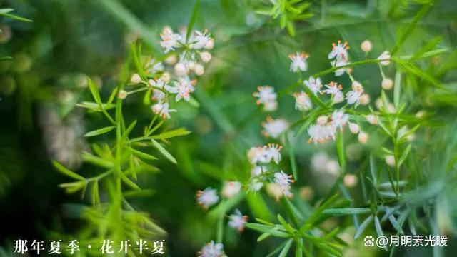 外汇投资的正确方法和技巧,外汇黄金投资最佳方法