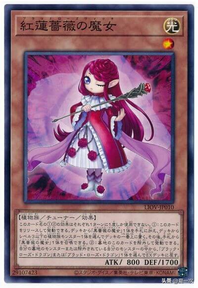 游戏王同调士卡组——黑、红莲蔷薇,救世星龙,帝企,尼亚米尼