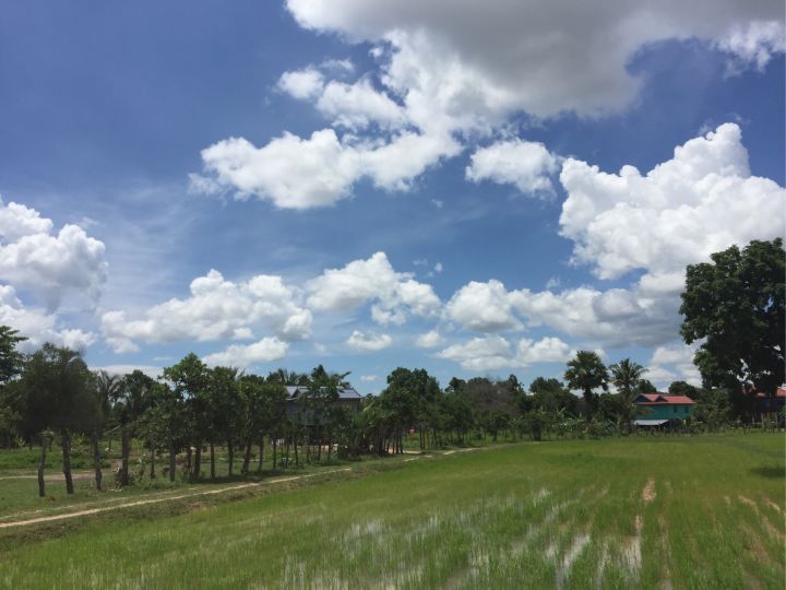 东*姑北**娘国外旅游，小7岁导游对她念念不忘，两人结婚5年后怎么样