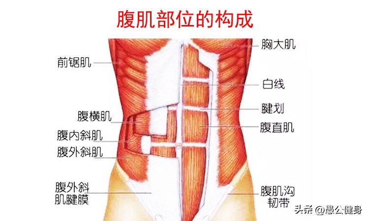 腹肌一次练多久,腹肌多久练一次最合适