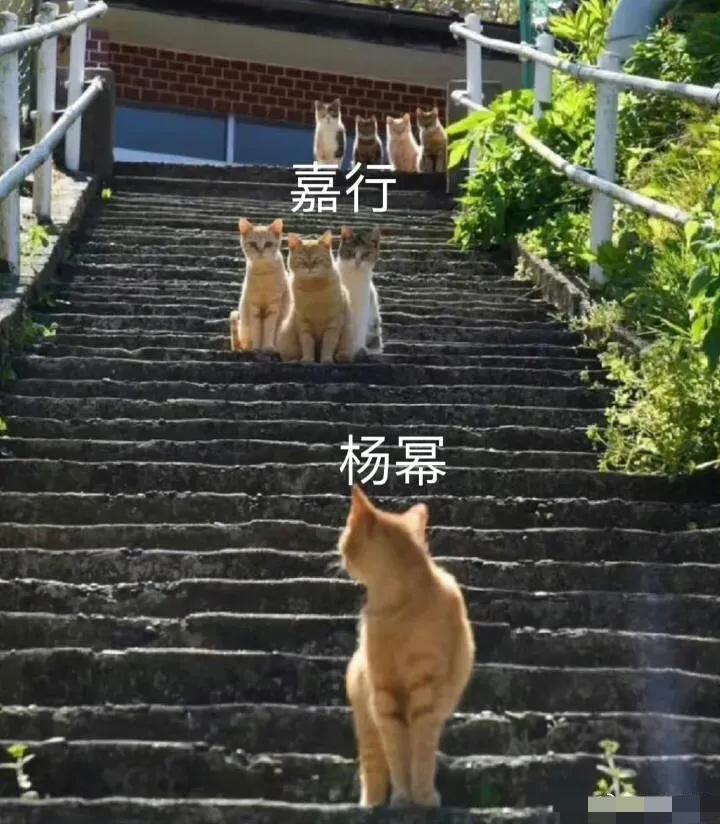 杨幂首谈与嘉行解约是真的吗,杨幂告别嘉行后嘉行怎么样了