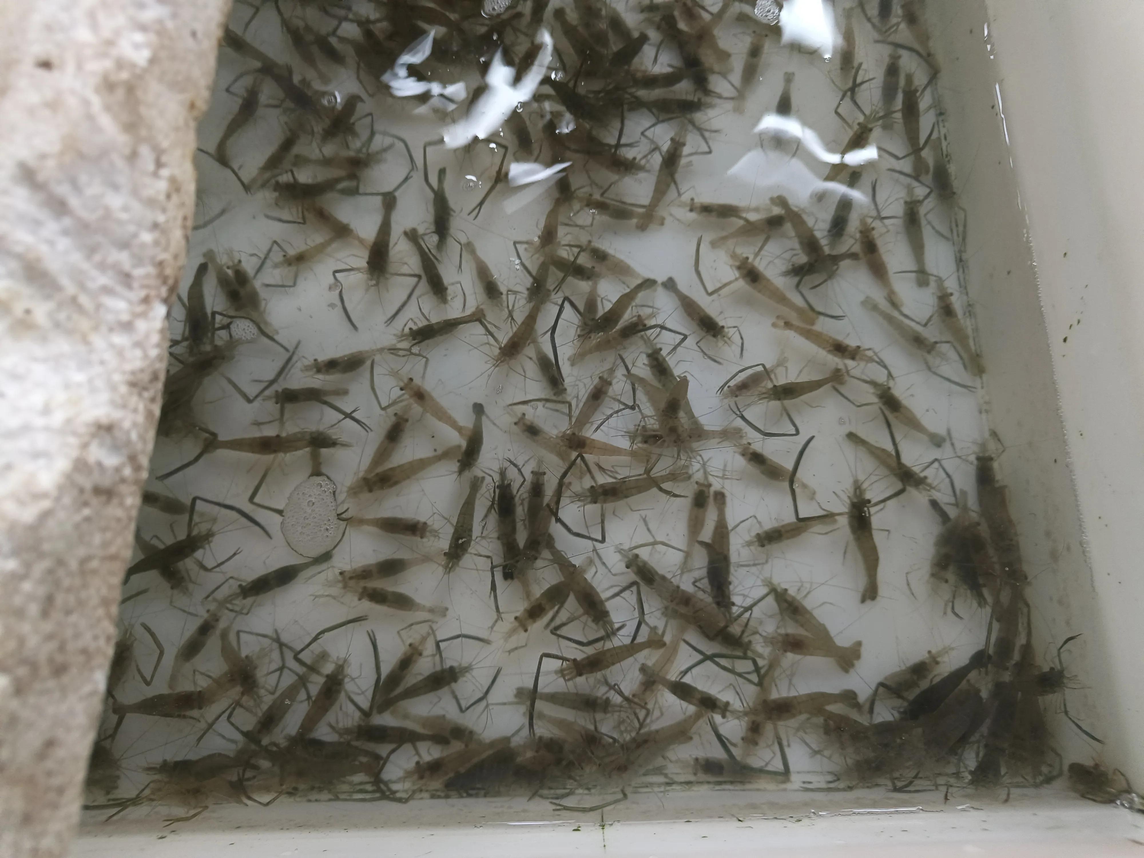 徒步第十二天旅行记录,徒步第十二天旅行