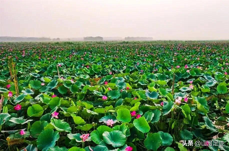 盘点山东面积最大的十个县,山东有个以湖命名的县