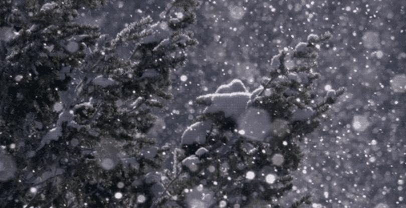 鉴赏古诗终南望余雪,描写雪景的诗句古诗大全