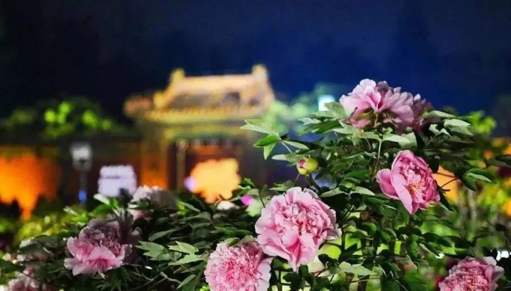 小众公园北京,北京欧式小众公园