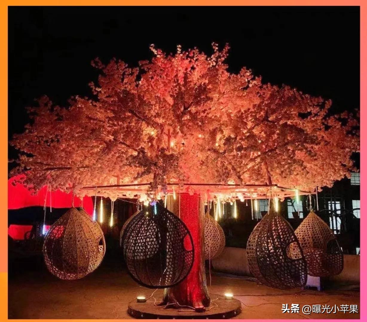 一天1000的网红樱花树秋千–有何窍门