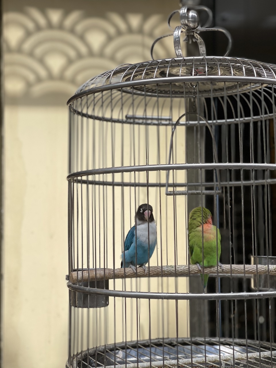 昆明一座让人流连忘返的城市,被低估的旅游城市昆明